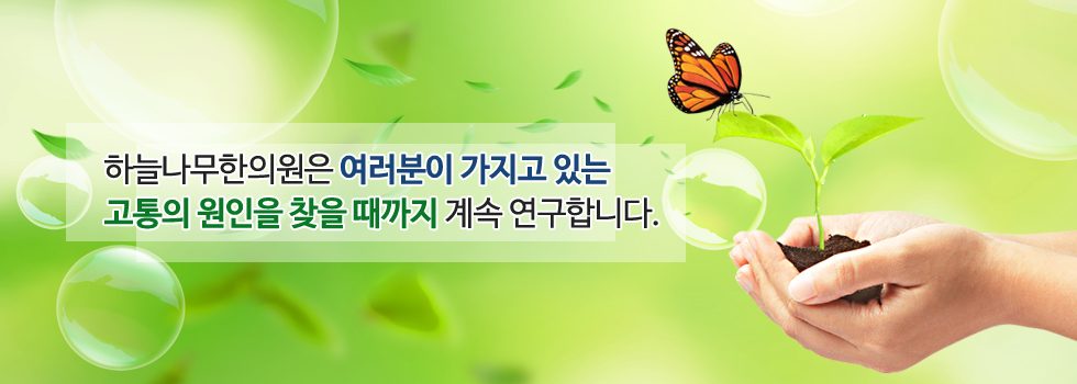 하늘나무한의원 메인 배너 1