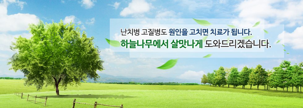 하늘나무한의원 메인 배너 2
