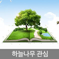 하늘나무 관심
