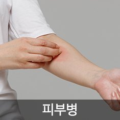 피부병